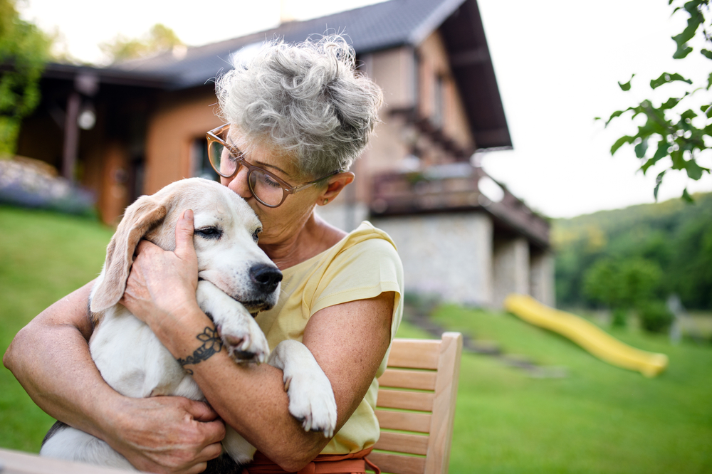 Helping Pets Stay Cool: Summer Comfort Tips for Aging or Ill Pets