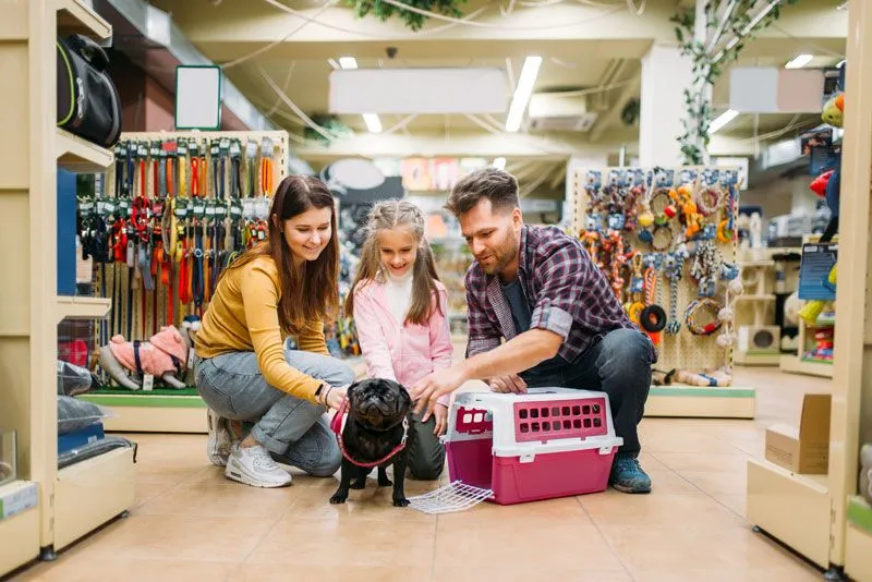 Pet memorial excellence