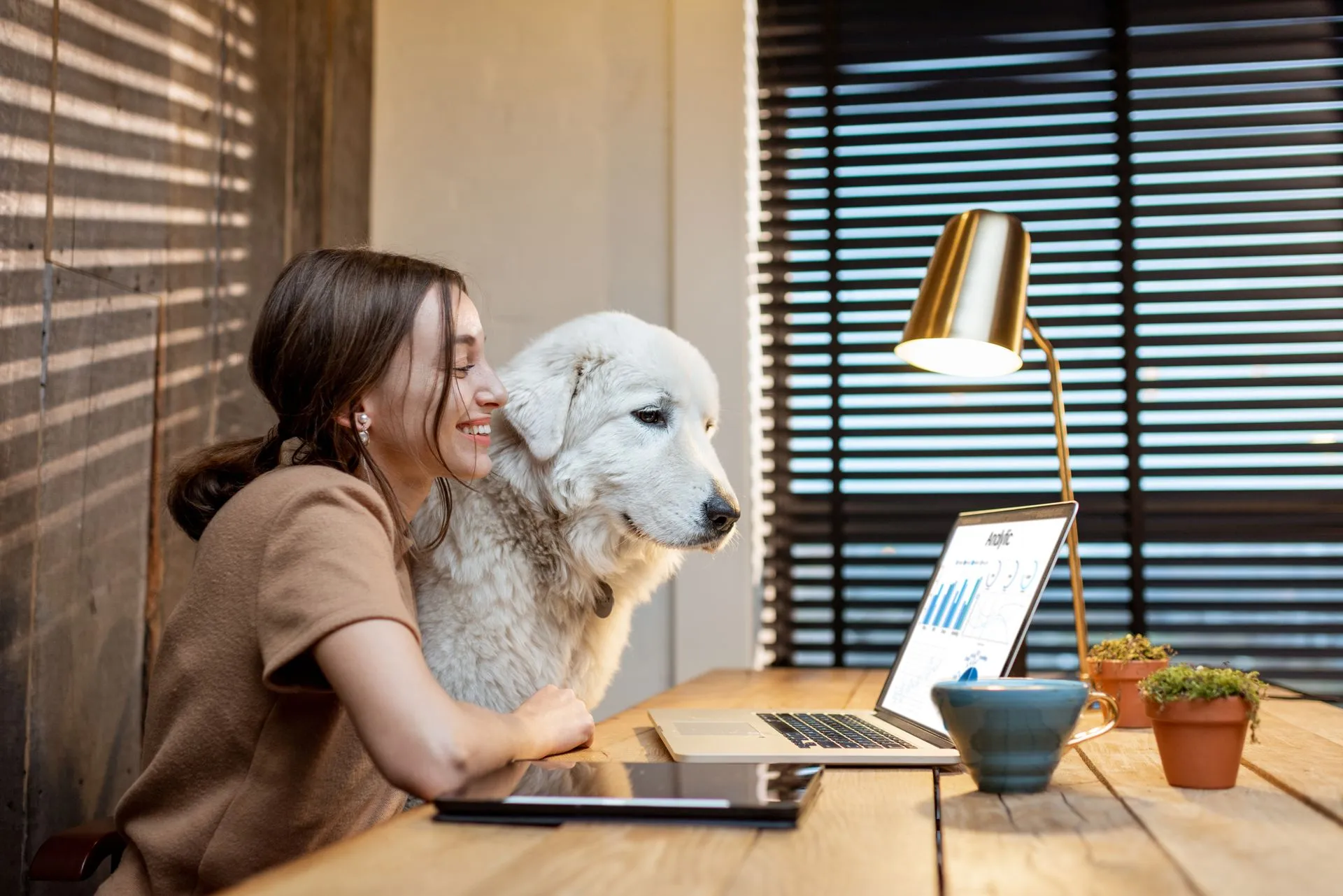 Pet care services