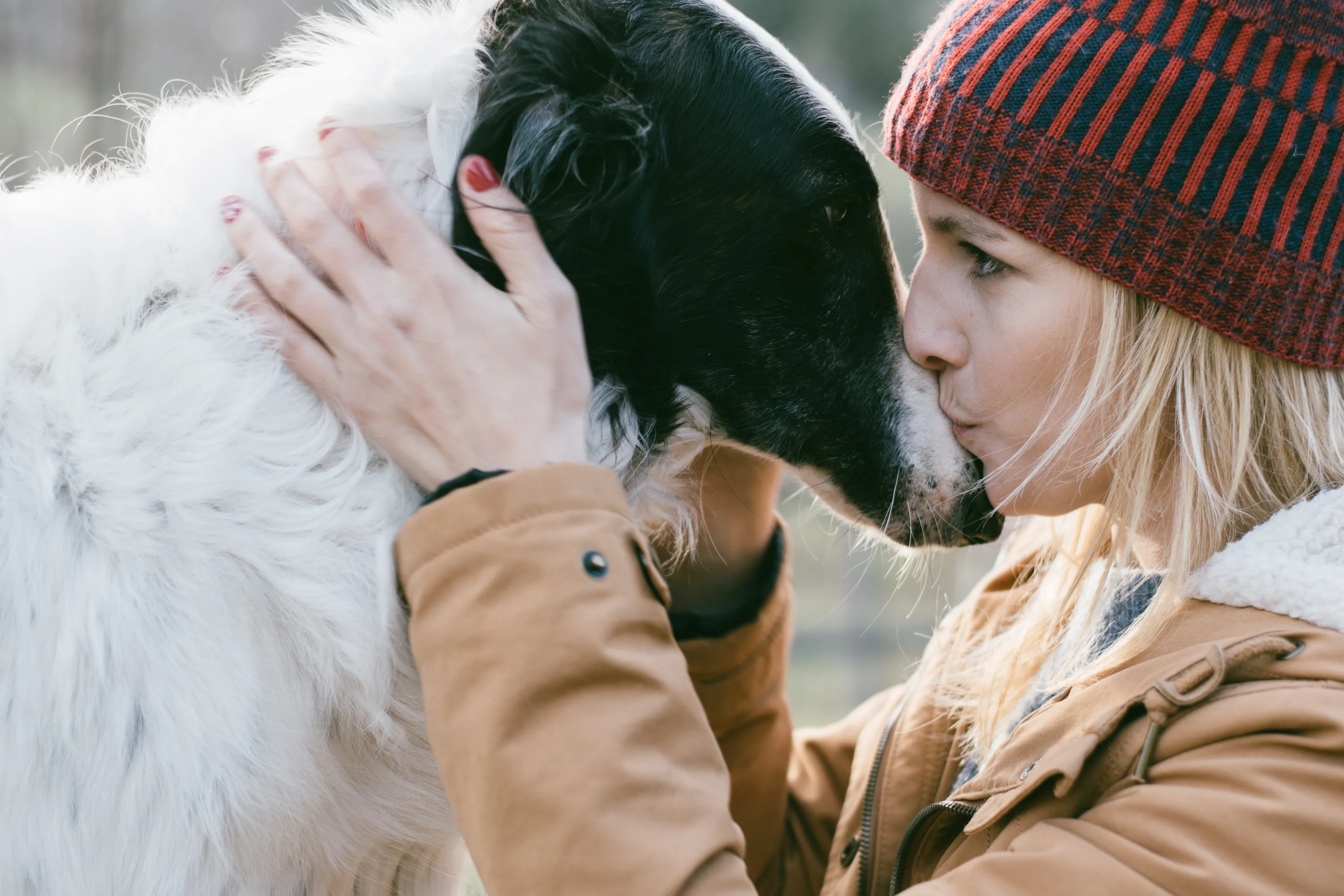 Compassionate euthanasia services
