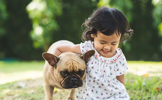 Pet tracking services